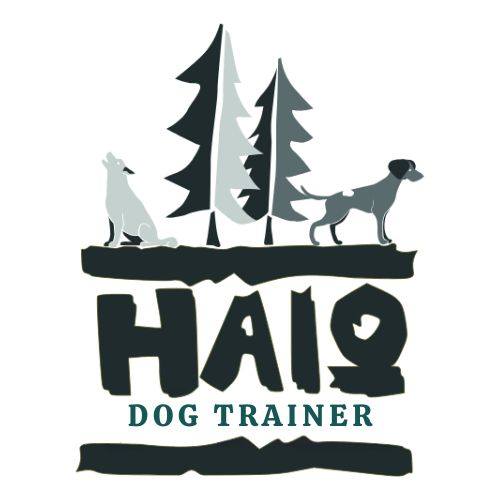 Logo Haio Dog Trainer