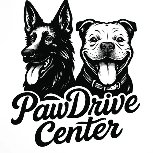 Logo PawDrive Center
